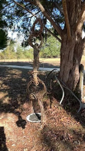 For auction today, December 11 is this beautiful double birdfeeder. From top to bottom it measures 43 inches. Please place your bid in the comments in increments of five dollars or more. The highest bid at 7 PM central time this evening will win. Shipping cost is a responsibility of the winner. It is time to feed the birds💕💕 | The Grapevine Lady