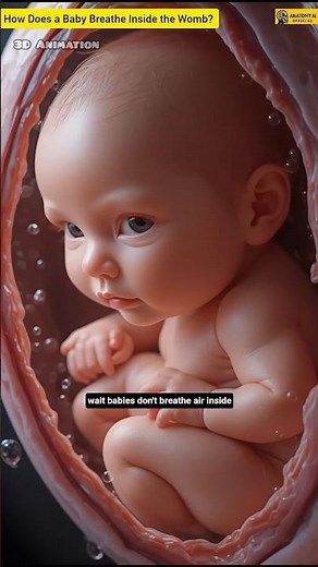 How Does a Baby Breathe Inside the Womb? (Mind-Blowing Truth!)