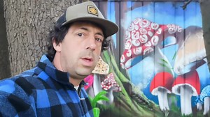 4K views · 97 reactions | Racing pigeons come to Thanet Pigeon racing is a sport in which specially bred and trained pigeons are released from specific locations. They then race back to their home lofts. | Get Wild | Facebook