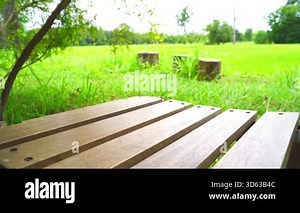 4K video of a wooden pallet bridge over water in a lush green rice field. Capturing rural lifestyle, peaceful countryside atmosphere, natural landscape, and simple living in Thailands farmland. Perfect for travel, nature, and cultural themes.