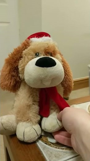 Ear Flapping Christmas Dog Singing 'shout'