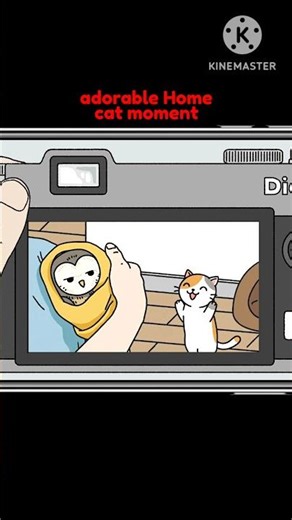 cat moment so cute, adorable home #feedshorts #shortvideo #adorablehome