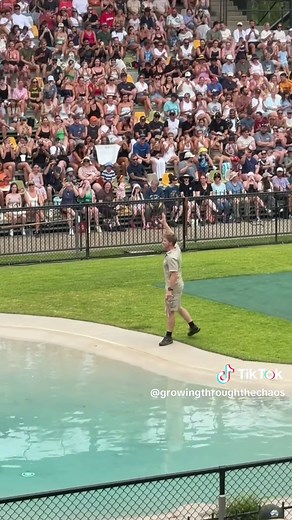 Discovering the Real Attraction at Australia Zoo