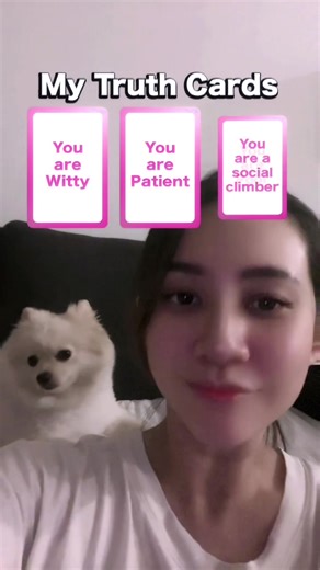 Understanding My Dog's Behavior During Pregnancy