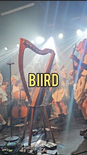 Biird - Live @ Cyprus Avenue One of the best shows I've seen in years. #biird #trad #supergroup #irishwomen #irishmusic #harp #violin #Cork #cyprusavenue #music #celticmusic | Bernard Casey Comedy