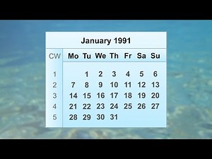 January 1991 Calendar
