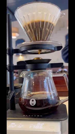 V60 pour over | paragon | #v60 #paragon #pourovercoffee #coffeelovers #brewers #manualbrew #barista