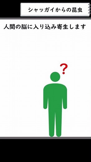 【クトゥルフ神話】解説：シャッガイからの昆虫 #shorts