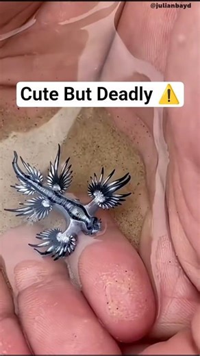 He Picked Up a Cute Animal… Biggest Mistake Ever!