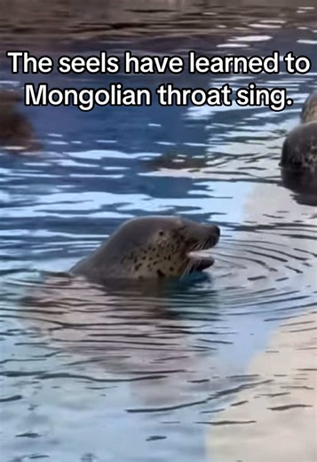 Seals Mastering Mongolian Throat Singing
