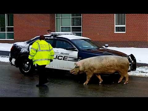 Worst Possible Time for This 😬❄️ | Winter Wipeouts 2026