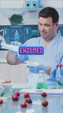 IGCSE Biology Chapter 20: Biotechnology And Genetic Modifications Summary