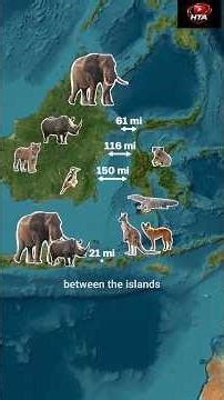 Why Animals Don't Cross This Invisible Border 🚧Wallace Line😱