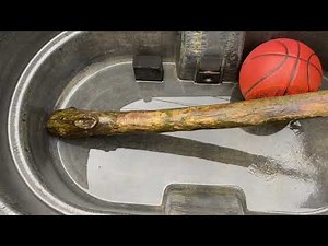 Tips for Keeping Wildlife Safe at Horse Water Troughs