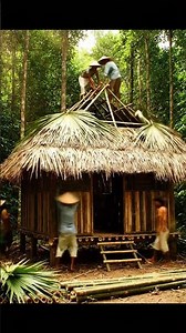 the video timelapse #timelapse #shorts #shortvideo #shortsvideo