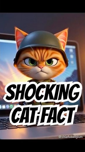 Why Do Cats Love Your Keyboard So Much?