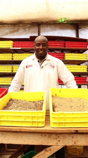 1.2M views · 10K reactions | Black Soldier Fly Farming | AIM Agriculture | Facebook