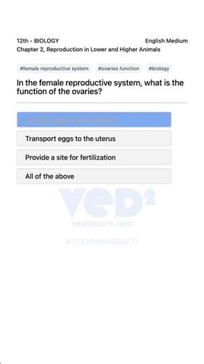 Female Reproductive System Ovaries Function Explained