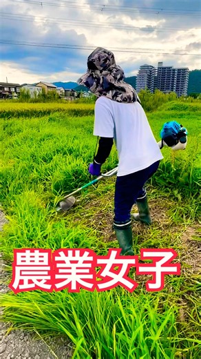 農業女子 真夏の草刈り作業 #kubota #現代農業 #farming #草刈り #草刈機 #農業 #農家 #農業女子