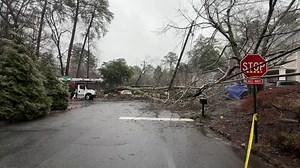 Massive ice-covered tree falls on man’s car in Northeast Atlanta