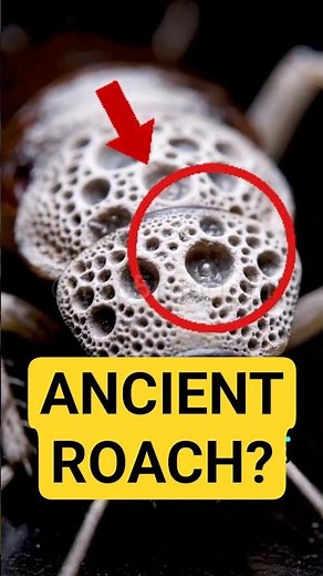 Top 5 Animals With Mind-Controlling Parasites You Won’t Believe Exist | Shocking Nature Facts