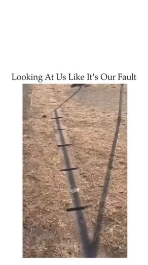 IG.MEMES on Instagram: "This video captures a curious exploration of a hidden underground space, likely a drainage system or tunnel, located beneath a grassy area. The camera begins by showing a series of narrow, rectangular vents on the ground before descending through one to reveal a long, dimly lit tunnel structure with supportive pillars. As the camera looks back up through the vent, the person who lowered it peer down from the surface, their face framed by the bright sunlight streaming thro