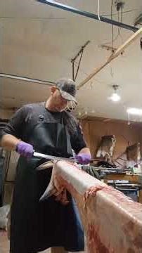 Fleshing a whitetail deer!!!