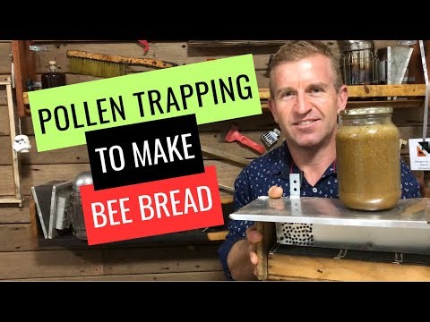 Pollen trapping to make bee bread superfood