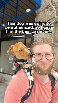 Every dog deserves a second chance ❤️