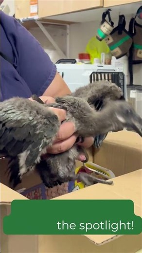 BABY SEASON is officially in full swing! 🐣