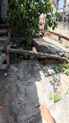 It's raining men | Oliver Nordin