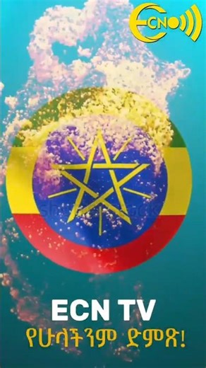 እንኳን ለብሔራዊ የሰንደቅ ዓላማ ቀን አደረሳችሁ!