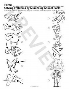 Biomimicry Matching & Coloring Grade 1 (First)