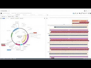 Sapio's Electronic Lab Notebook (ELN) Plasmid Editor Quick Overview