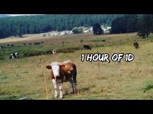 NEFFEX - Hope 1 HOUR