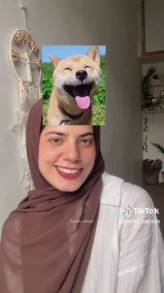 Cats and Their Adorable Smiles