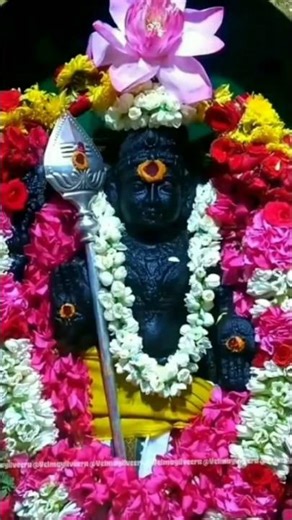 #bhakthisongs #murugar#shors #tamilsong #ytshorts🙏🙏🙏🙏🙏🙏 #shortsfeed #motivation