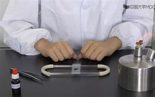 实验6细菌的培养与显微观察 - 实验操作技术2细菌的革兰氏染色(HD)