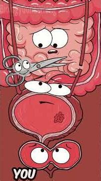 Your intestines can replace your bladder?