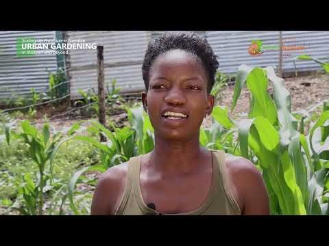 Scaling Up Nutrition In Namibia: Urban Gardening | Documentary