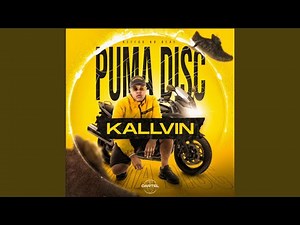 Puma Disc