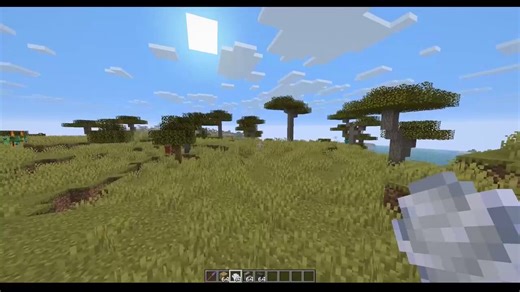 Junge was ist aus Minecraft geworden?