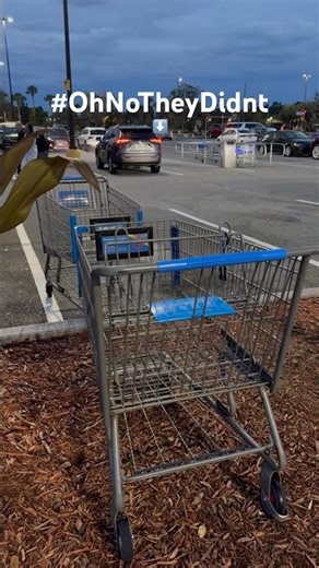 WHY YOU SHOULDN’T LEAVE YOUR SHOPPING TROLLEYS/ CARTS IN THE PARKING LOT