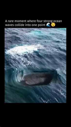 Savage | on Instagram: "When four powerful ocean waves converge at the same spot, it creates a rare and dramatic phenomenon caused by the interaction of different wave systems traveling in separate directions. This usually happens where strong winds, shifting weather patterns, or distant storms generate multiple swells that intersect, such as in open oceans or near complex coastlines. As these waves meet, their energies combine through a process called wave interference, producing unusually tall