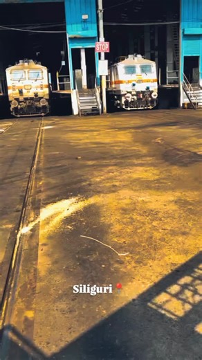 Railfaning 👿 on Instagram: "Rare View' Of Diesel & Electric Locomotives Shed Siliguri 🔥 . . . #locoshed #siliguri #locomotives"