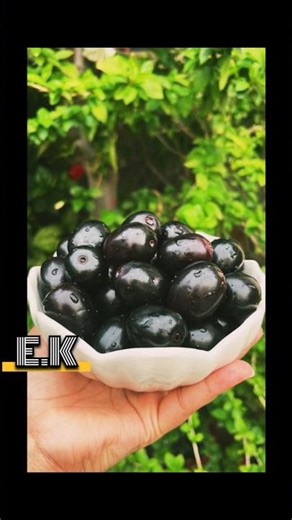 Eat java plum and stay healthy #shorts #health #facts #helthbenefits
