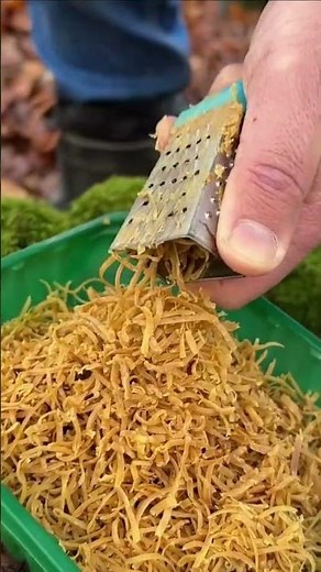 Camping Fire Hacks You MUST Know 🔥 | Easy & Smart Campfire Tricks 🏕️ #campfire #shortvideo