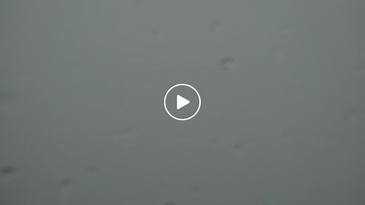 CN Tower Cam - East View