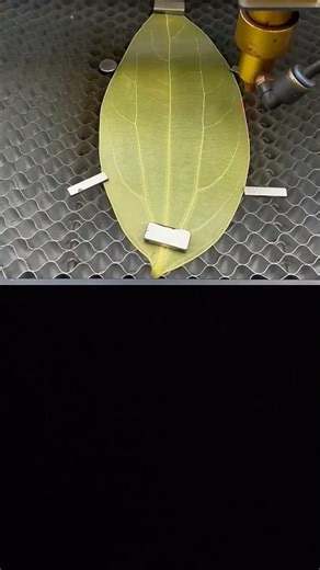 Leaf to Art: Crafting Machine Magic ✨#LeafCrafting #MachineProcess #shorts #shortsfeed