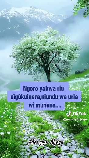 Puffin ASMR Experience: Soothing Sounds for Relaxation